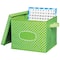 Teacher Created Resources Lime Polka Dots Storage Box